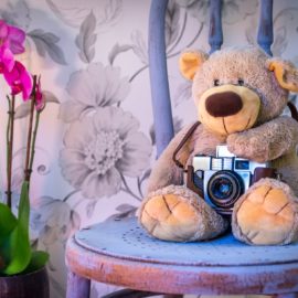 Какие цветы лучше поставить в детской? 5 самых красивых цветущих комнатных растений
