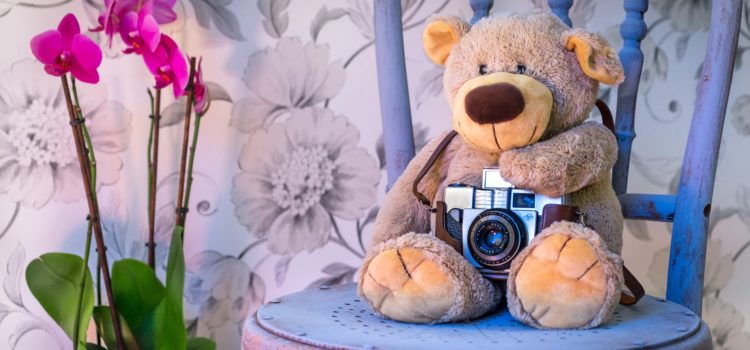 Какие цветы лучше поставить в детской? 5 самых красивых цветущих комнатных растений